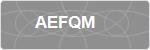 AEFQM
