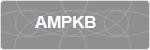 AMPKB