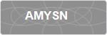 AMYSN