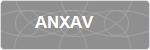 ANXAV