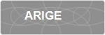 ARIGE