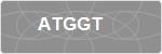 ATGGT