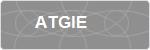 ATGIE