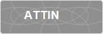ATTIN