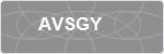AVSGY