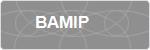 BAMIP