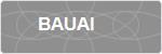 BAUAI