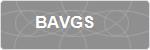 BAVGS