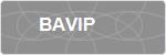 BAVIP