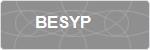 BESYP