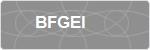BFGEI