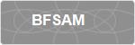 BFSAM
