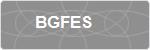 BGFES