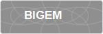 BIGEM