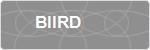 BIIRD