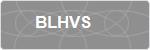 BLHVS