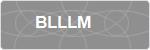 BLLLM