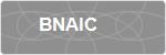 BNAIC