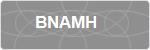 BNAMH