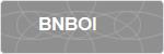 BNBOI