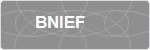 BNIEF