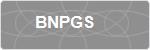 BNPGS