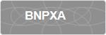 BNPXA