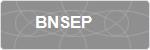 BNSEP