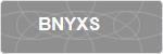 BNYXS