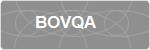 BOVQA