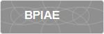 BPIAE