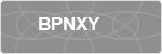 BPNXY