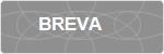BREVA