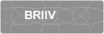 BRIIV