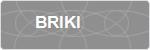 BRIKI