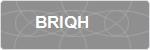 BRIQH