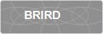 BRIRD