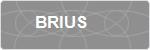 BRIUS