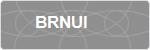 BRNUI