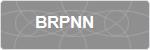 BRPNN