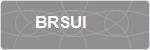 BRSUI