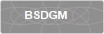 BSDGM