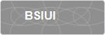 BSIUI