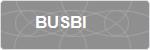 BUSBI