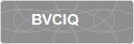 BVCIQ