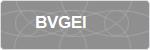BVGEI