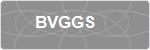 BVGGS