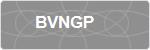 BVNGP