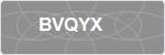 BVQYX