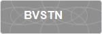 BVSTN